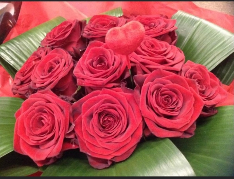 12 Red Roses Hand Tied in water Bouquet