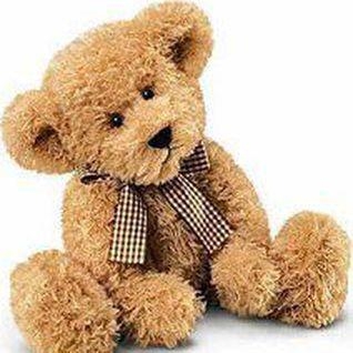 Where to buy shop teddies
