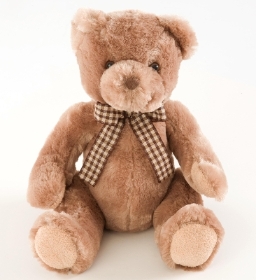 Timothy Teddy Bear