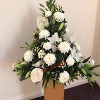 Pedestals Arrangements