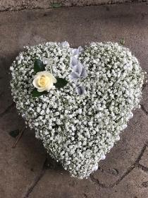 Heart of Gypsophila