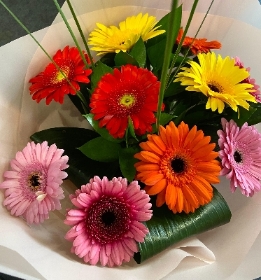 Mixed Gerbera Bouquet